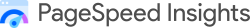 PageSpeedInsights